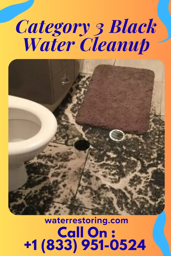 Category 3 Black Water Cleanup in Nicut, OK